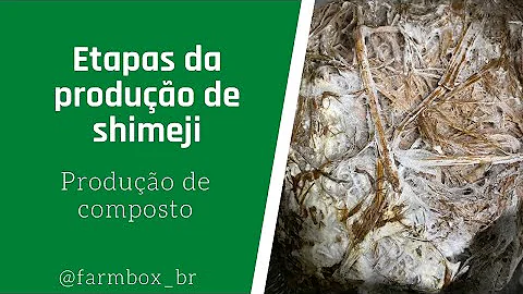 Como fazer o substrato para cogumelos?