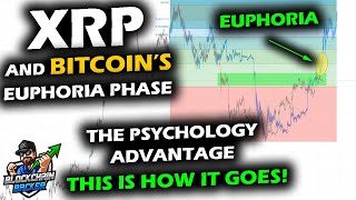 THE MOMENT BEFORE EUPHORIA, XRP Price Chart Awaits as Bitcoin Sets Up In Same Psychological State