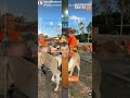 8 de outubro de 2024