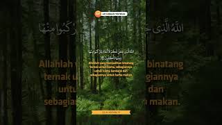 Download Lagu Surat Al-Mu'min Ayat 79 #shorts MP3