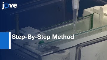 Reconstitution Of ABC Transporter Into Nanodisc Lipid Particles l Protocol Preview
