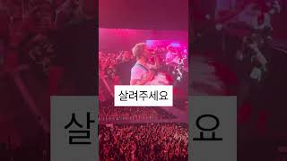 코르티스, 원하는 곡 묻더니 또 ‘영크크’ ㅋㅋ