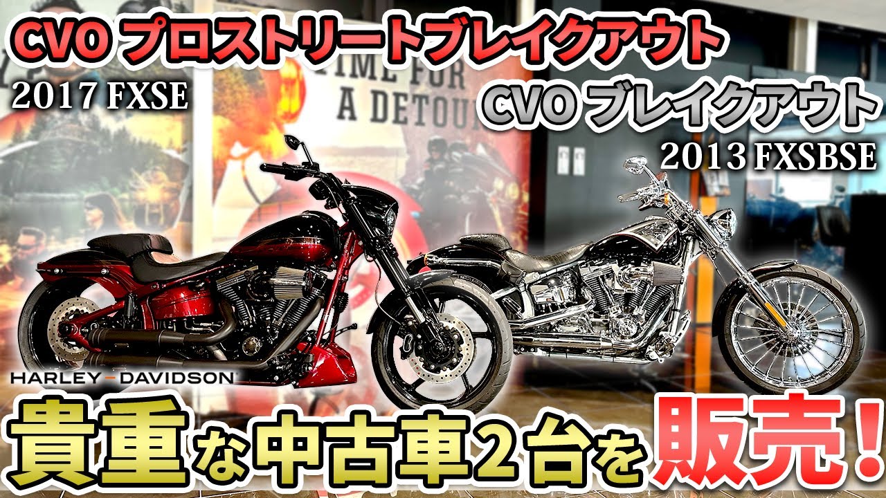 Harley-Davidson] We