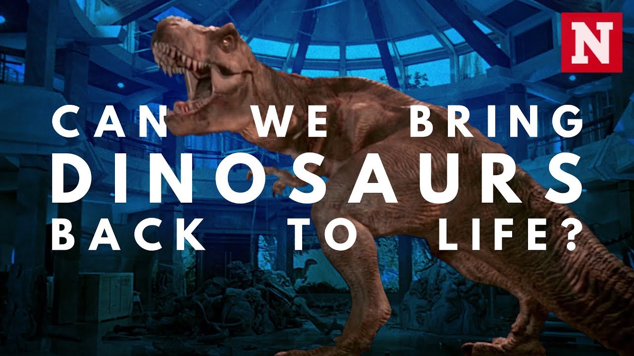 Jurassic World: Can We Really Resurrect a Dinosaur?