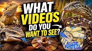 What should we film? - Video Ideas!
