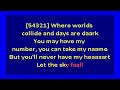 Adele -  Skyfall (karaoke)