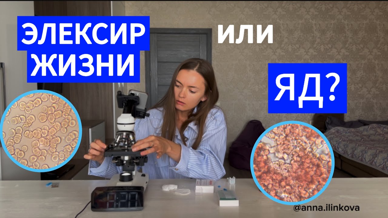 Кровь под микроскопом после кофе, бутилированной воды и Канген воды