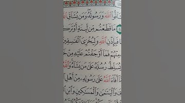 ما معنى " لينه " #سورة #الحشر