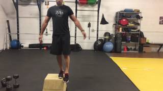 Dumbbell Step Downs