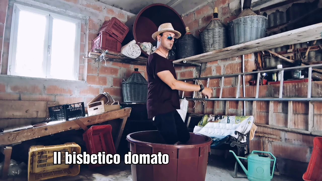 Il Bisbetico Domato Film Completo Italiano Youtube