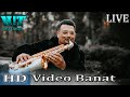 Calinut Printu Banatului ||  Instrumentala Habibi come to Dubai   || NOU 2023 4k