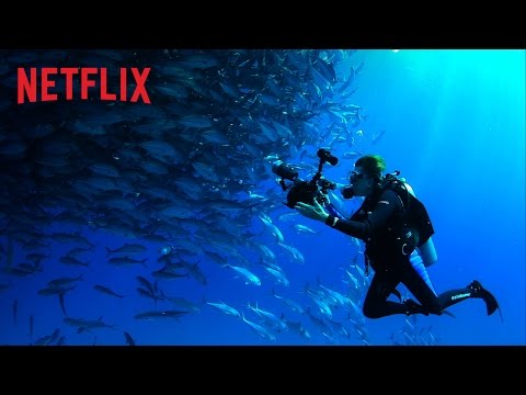 Bande-annonce [VOSTFR]