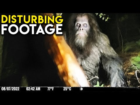 THIS Is WHY People Are SCARED Of This Trail Cam Footage