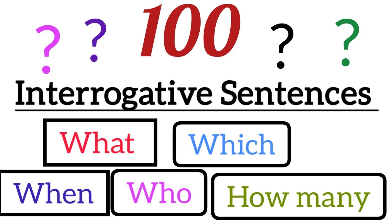 100 Interrogative Sentences In English:Use Of What,Why,Which,Who,How ...