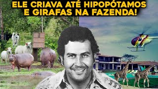 COMO ERA A FAZENDA DE PABLO ESCOBAR? A MAIS BIZARRA QUE JÁ EXISTIU!