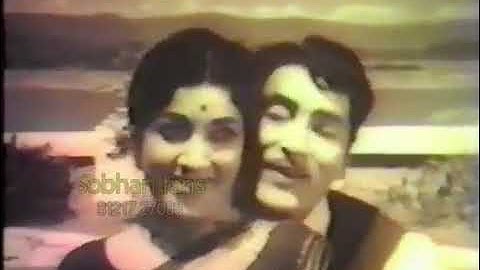 నీకున్నది నేనని నాకున్నది నీవని :: తాసిల్దారుగారి అమ్మాయి (1971)