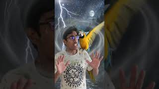 rain on boy dancing #nature