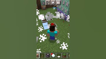 Reversal Red Test #minecraft