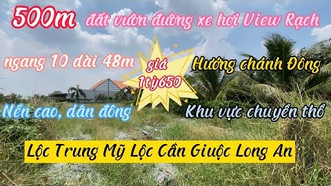 ❤️ 500m đất vườn sổ riêng đường xe hơi View Rạch Lộc Trung Mỹ Lộc Cần Giuộc giá 1tỷ650