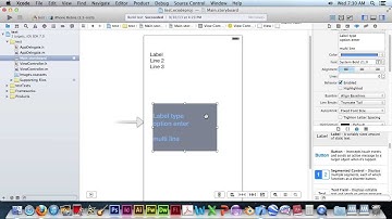Xcode Multi Line Label Lesson