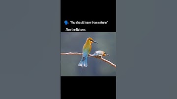 You should learn from nature! 😂😂 #shorts #funny