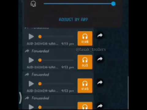 Allu arjun fans whatsApp audio leak  Rc fans  AAMG