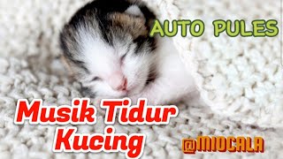 MUSIK PENGANTAR TIDUR KUCING| RELAKSASI SUARA BURUNG