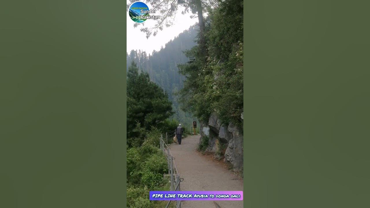 Pipeline Track Donga Gali to Ayubia Ayubia National Park Ayubia