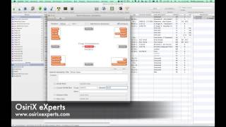 Customizing annotations in OsiriX 6.0