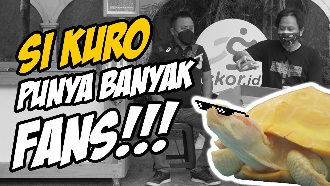 Si Kuro Mulai Terkenal, Ini Pilihan Si Kuro di Final!! Warung Skor