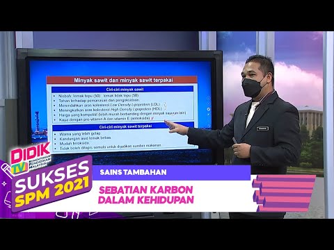 Video: Di manakah tenaga disimpan dalam sebatian?