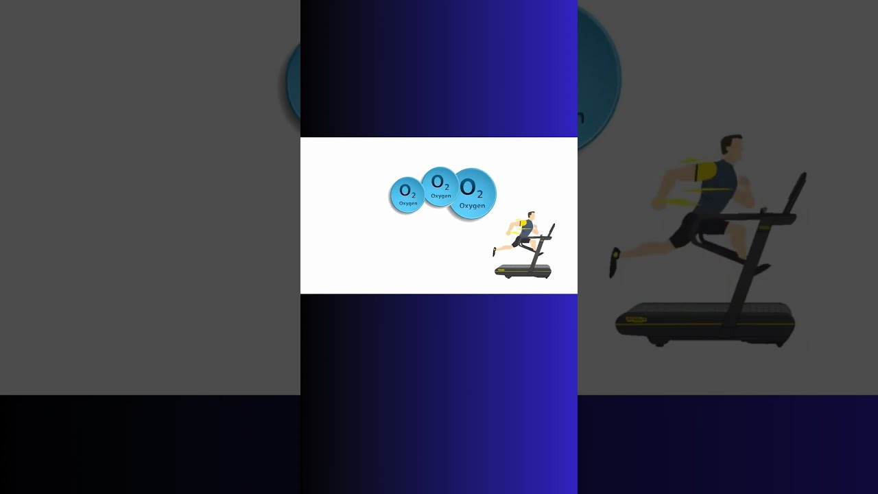 OXYGEN CONSUMPTION VO2 Explained Exercise Vo2max Cardiovascular Physiology Aerobic Cardio