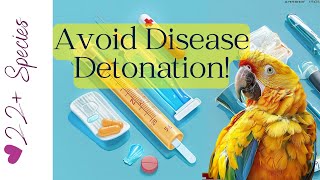 Avoid a Disease  DETONATION In Your Flock! | #parrot_bliss #parrot #birds #pbfd