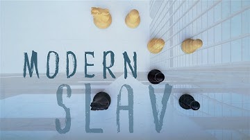 Slav Defense Theory: Modern Variation