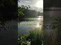 416* Перестали Чувствовать - Нужно Выдавить из Поля Смердящие Концепты