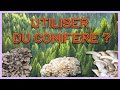 🍄  SUBSTRAT à base de CONIFÈRE ?