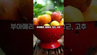 기능성 원료 숏폼 영상
