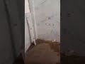 💸 Mamla Kamai Ka Hai 😎🔥 | Tiles Work Attitude #shorts #viral #tiles #construction #tiles