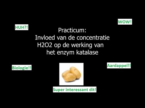 Video: Is waterstofperoxide een katalase?