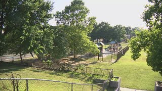 Parents push to save Nalle Elementary outdoor space amid DCPS renovation plans