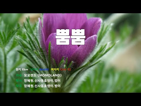[은성 반주기] 뿜뿜 - 모모랜드(MOMOLAND)