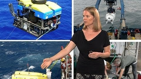 Julie Huber (MBL): Microbial Oceanography