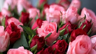 Ирина Аллегрова -  с Днём Рождения!