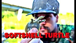 THE WILD-MAN'S WILD FRIENDS VIDEO SERIES - EPISODE 69 - SOFTSHELL TURTLE