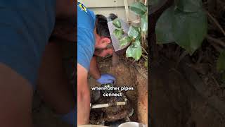 Pipe Lining a Home Part 3: Trimming & Reinstating the Liner