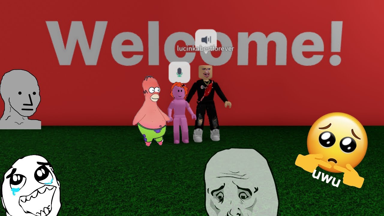 WE USED ROBLOX VOICE CHAT for the first time |cz|