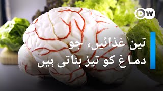 یہ تین غذائیں کھائیں، دماغ کو تیز بنائیں | DW Urdu