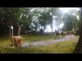 Morgan cillo benevolence seneca valley pony club horse trials xcp 6132015