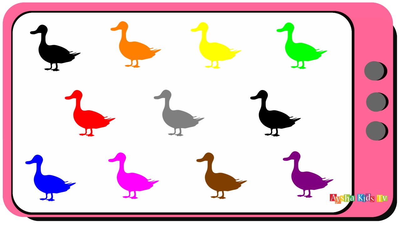 Teach Kids Colors In English Learn Colors In English Duck Colors