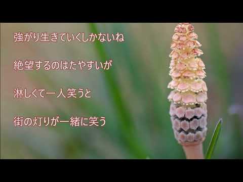 腕に虹だけ